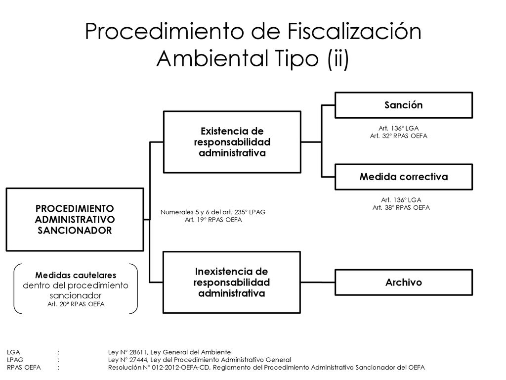 Procedimiento de Fiscalización Ambiental Tipo (ii)