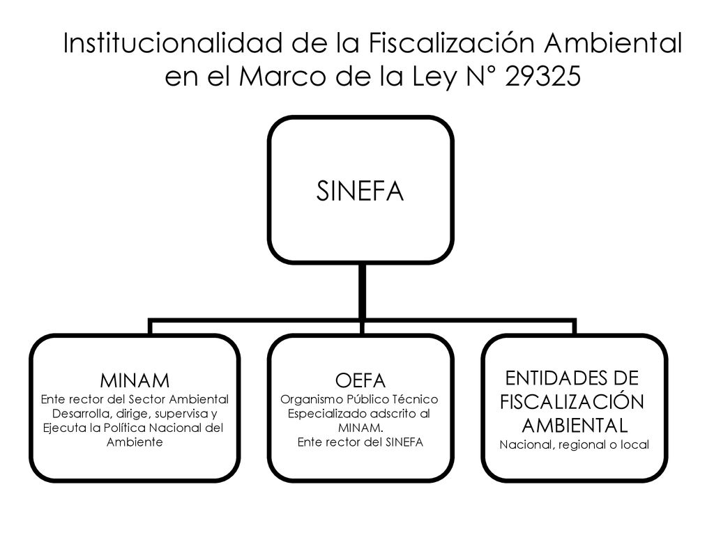 Institucionalidad de la Fiscalización Ambiental en el Marco de la Ley N° 29325