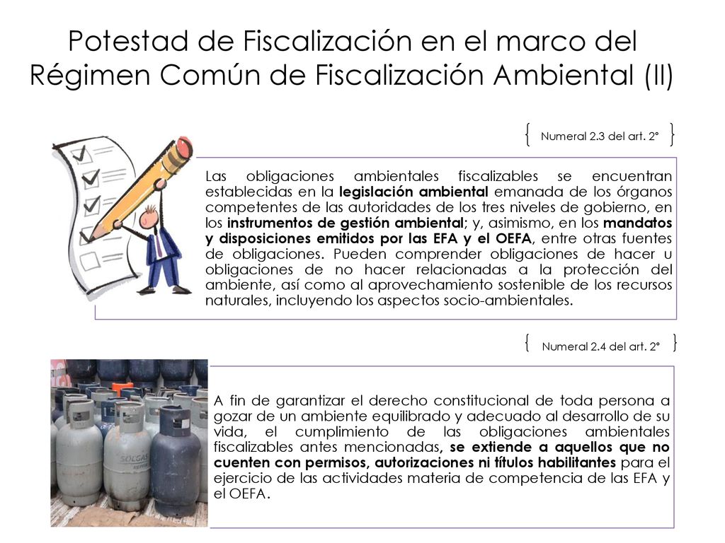 Potestad de Fiscalización en el marco del Régimen Común de Fiscalización Ambiental (II)