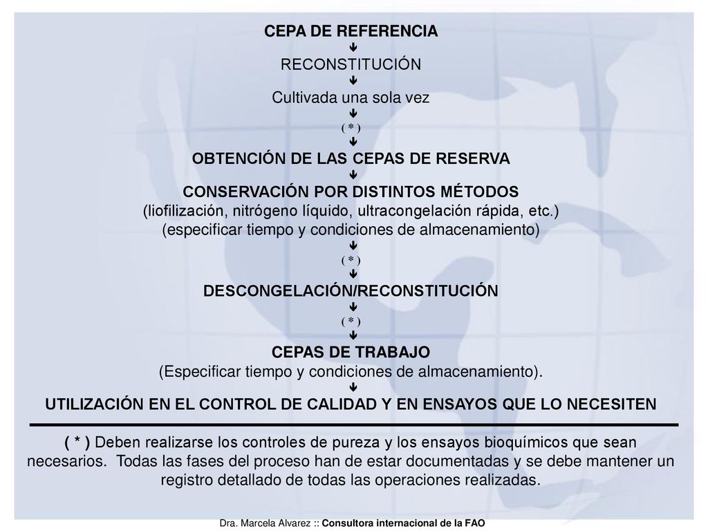 OBTENCIÓN DE LAS CEPAS DE RESERVA CONSERVACIÓN POR DISTINTOS MÉTODOS