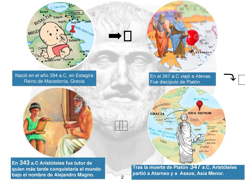 ➡️ ⤵️ ⬅️ Nació en el año 384 a.C, en Estagira