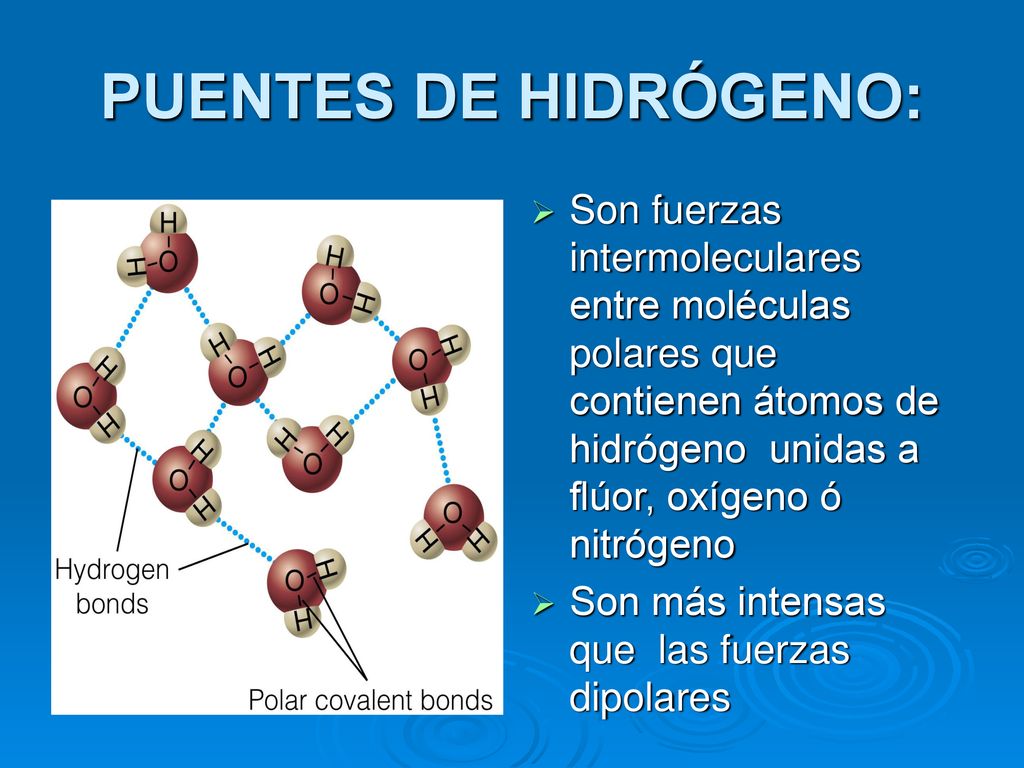 PUENTES DE HIDRÓGENO: Son fuerzas intermoleculares entre moléculas polares que contienen átomos de hidrógeno unidas a flúor, oxígeno ó nitrógeno.