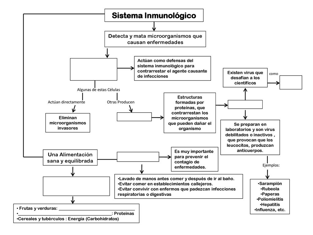 Sistema Inmunológico Detecta y mata microorganismos que causan enfermedades.