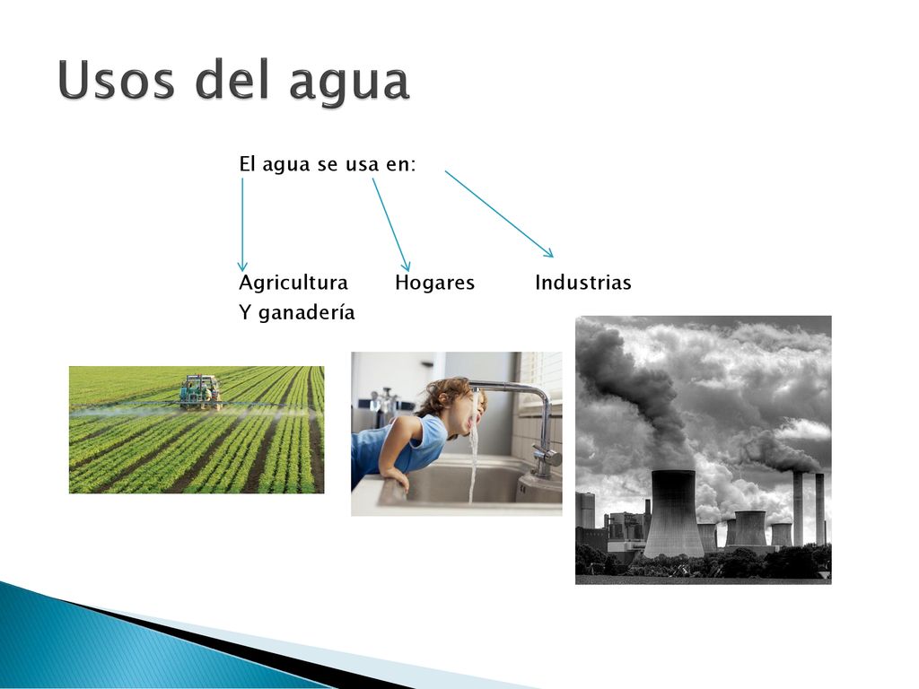 Usos del agua El agua se usa en: Agricultura Hogares Industrias