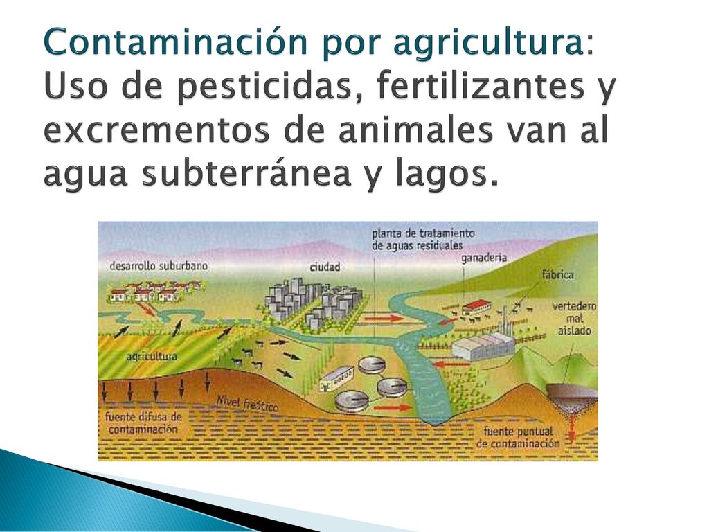 Contaminación por agricultura: Uso de pesticidas, fertilizantes y excrementos de animales van al agua subterránea y lagos.