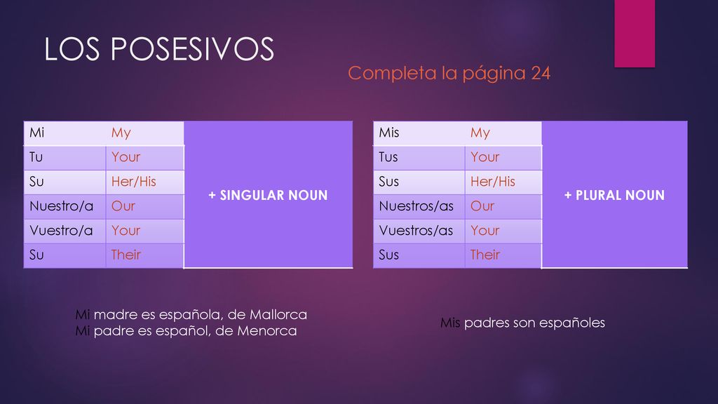 LOS POSESIVOS Completa la página 24 Mi My + SINGULAR NOUN Tu Your Su