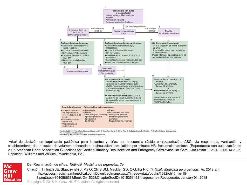 Árbol de decisión en taquicardia pediátrica para lactantes y niños con frecuencia rápida e hipoperfusión. ABC, vía respiratoria, ventilación y establecimiento de un sostén de volumen adecuado a la circulación; lpm, latidos por minuto; HR, frecuencia cardiaca. (Reproducida con autorización de 2005 American Heart Association Guidelines for Cardiopulmonary Resuscitation and Emergency Cardiovascular Care. Circulation 112:24, © 2005, Lippincott, Williams and Wilkins, Philadelphia, PA.)