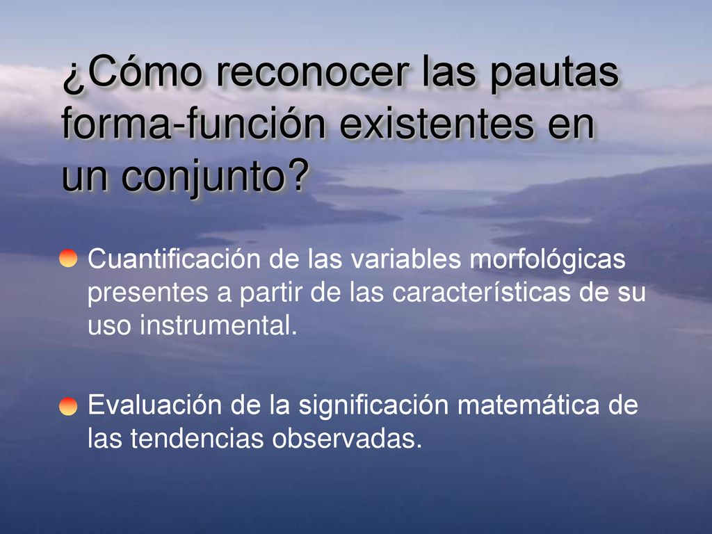 ¿Cómo reconocer las pautas forma-función existentes en un conjunto
