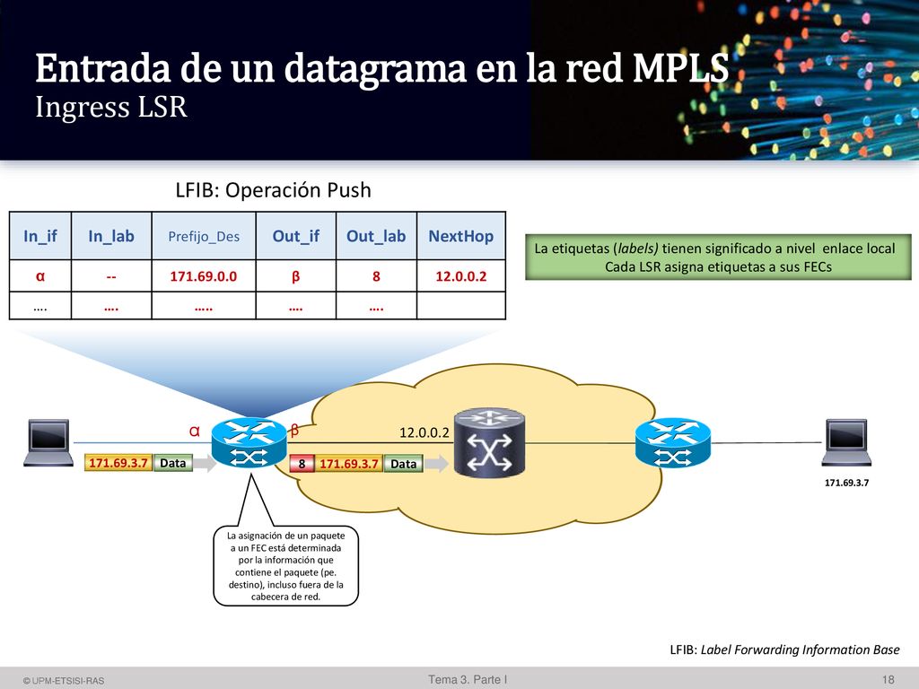 Entrada de un datagrama en la red MPLS Ingress LSR