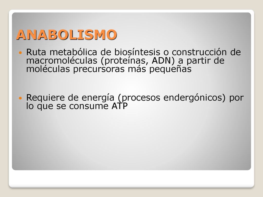 ANABOLISMO Ruta metabólica de biosíntesis o construcción de macromoléculas (proteínas, ADN) a partir de moléculas precursoras más pequeñas.