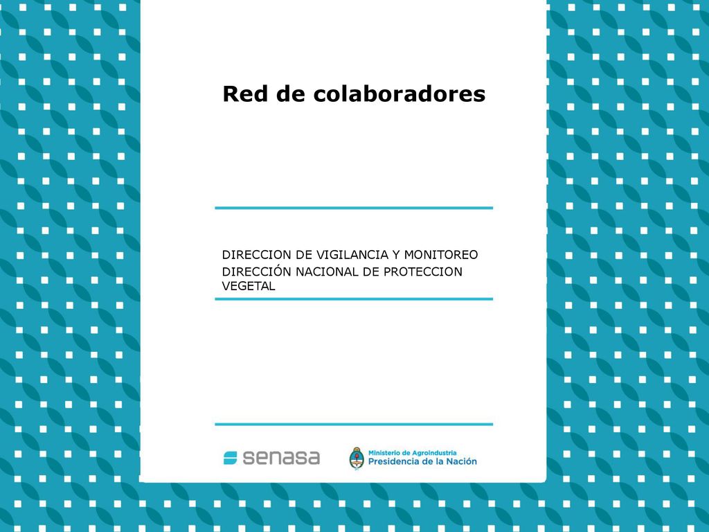 Red de colaboradores DIRECCION DE VIGILANCIA Y MONITOREO