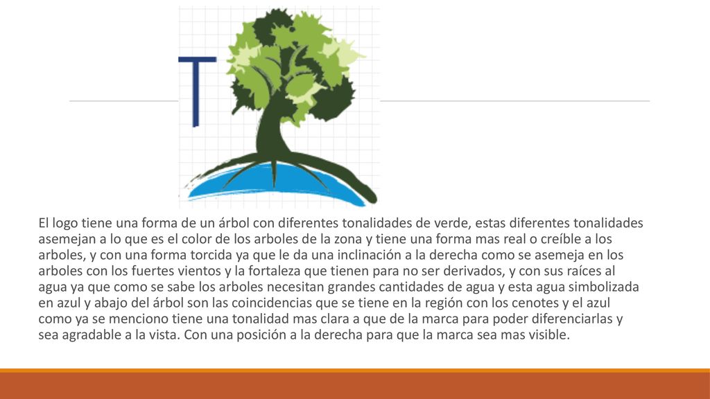 El logo tiene una forma de un árbol con diferentes tonalidades de verde, estas diferentes tonalidades asemejan a lo que es el color de los arboles de la zona y tiene una forma mas real o creíble a los arboles, y con una forma torcida ya que le da una inclinación a la derecha como se asemeja en los arboles con los fuertes vientos y la fortaleza que tienen para no ser derivados, y con sus raíces al agua ya que como se sabe los arboles necesitan grandes cantidades de agua y esta agua simbolizada en azul y abajo del árbol son las coincidencias que se tiene en la región con los cenotes y el azul como ya se menciono tiene una tonalidad mas clara a que de la marca para poder diferenciarlas y sea agradable a la vista.