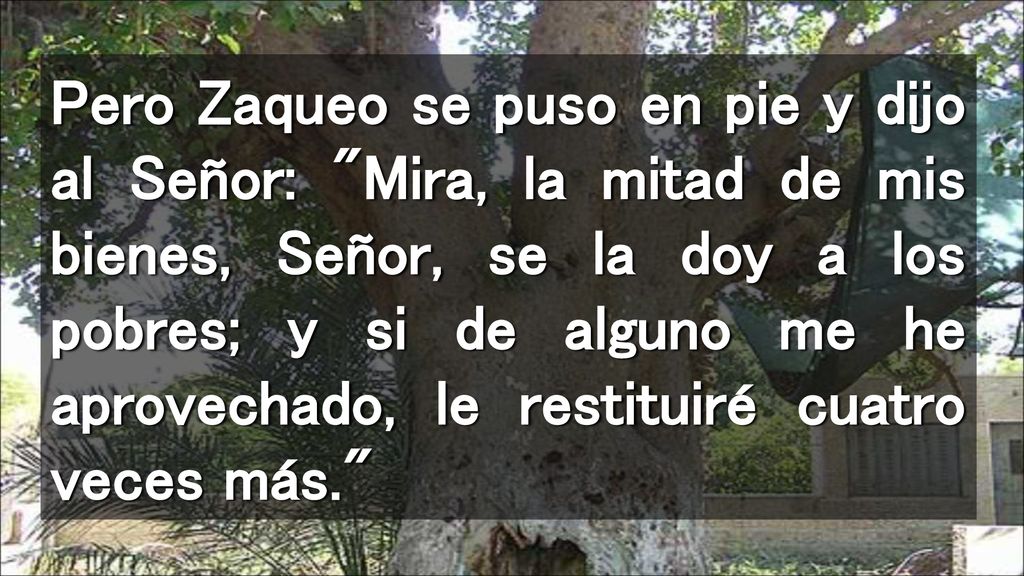 Pero Zaqueo se puso en pie y dijo al Señor: Mira, la mitad de mis bienes, Señor, se la doy a los pobres; y si de alguno me he aprovechado, le restituiré cuatro veces más.