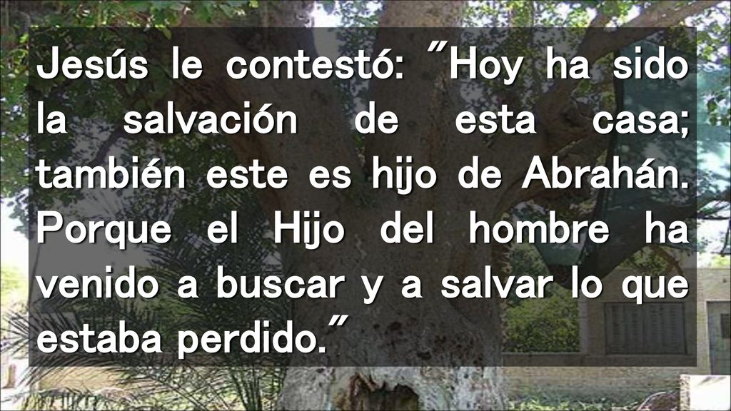 Jesús le contestó: Hoy ha sido la salvación de esta casa; también este es hijo de Abrahán.