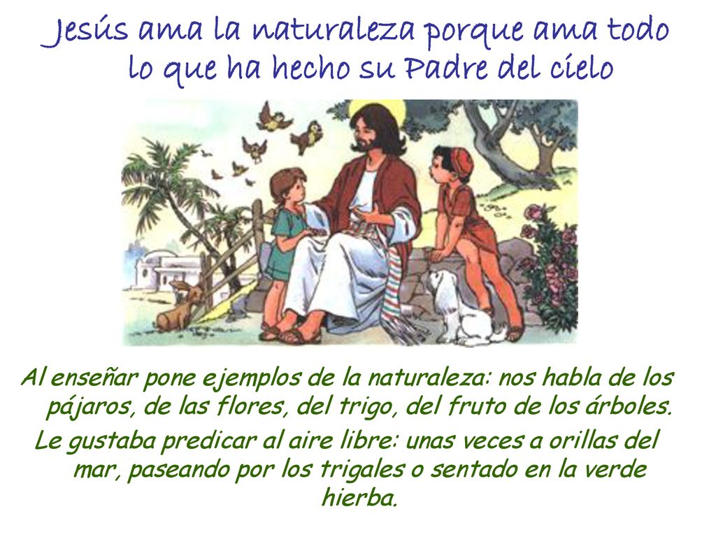 Jesús ama la naturaleza porque ama todo lo que ha hecho su Padre del cielo