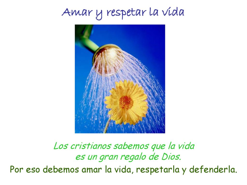 Amar y respetar la vida Los cristianos sabemos que la vida es un gran regalo de Dios.