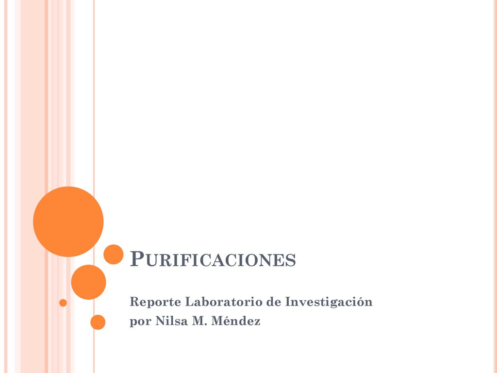 Reporte Laboratorio de Investigación por Nilsa M. Méndez