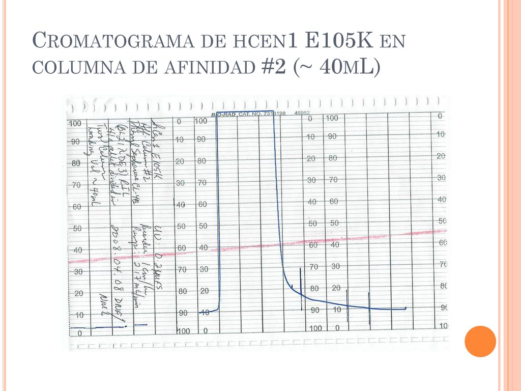 Cromatograma de hcen1 E105K en columna de afinidad #2 (~ 40mL)