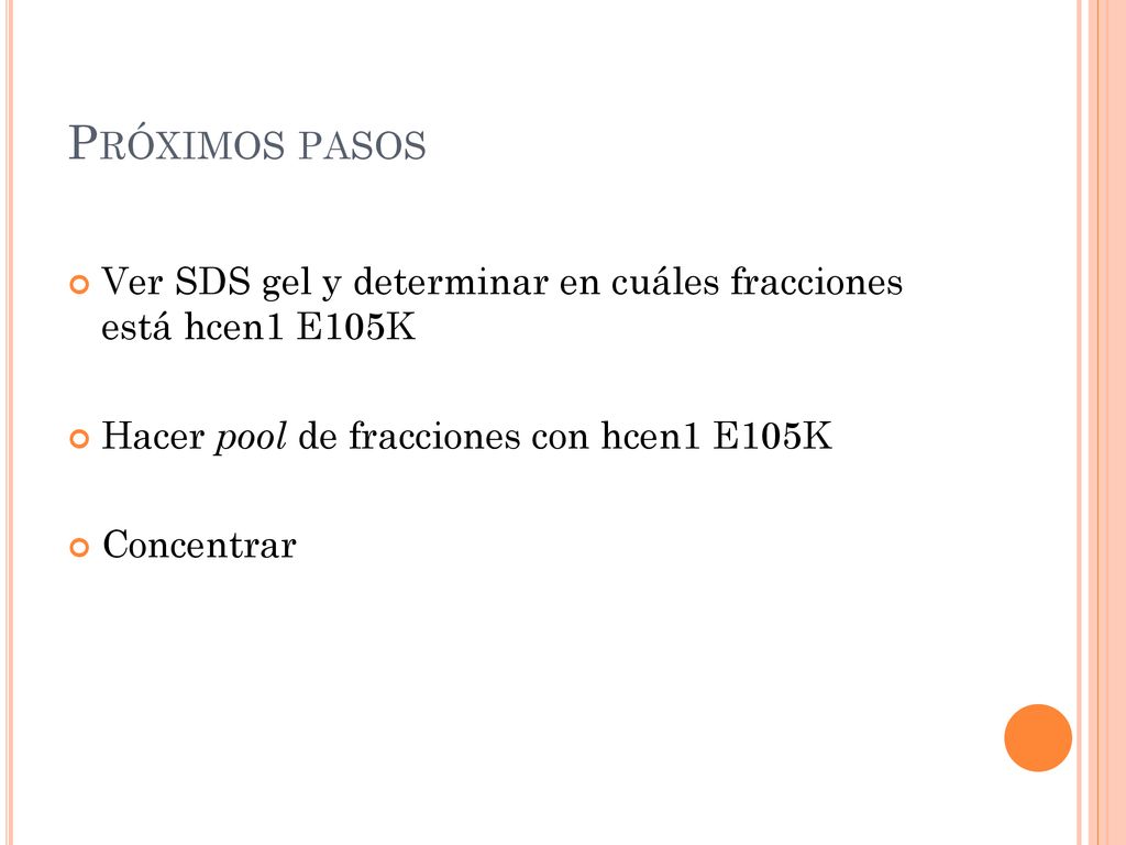 Próximos pasos Ver SDS gel y determinar en cuáles fracciones está hcen1 E105K. Hacer pool de fracciones con hcen1 E105K.