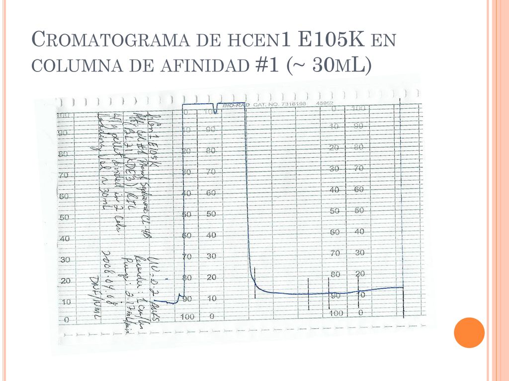 Cromatograma de hcen1 E105K en columna de afinidad #1 (~ 30mL)