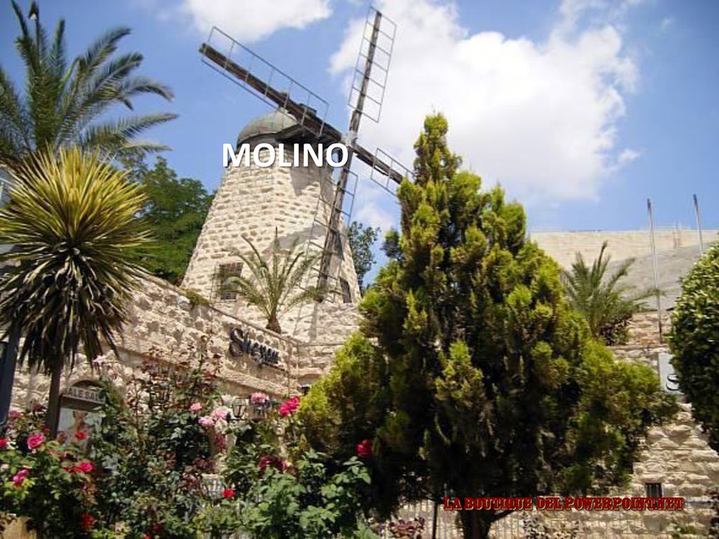 MOLINO jueves, 13 de septiembre de 2018jueves, 13 de septiembre de 2018