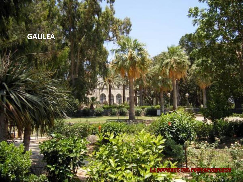 GALILEA jueves, 13 de septiembre de 2018jueves, 13 de septiembre de 2018