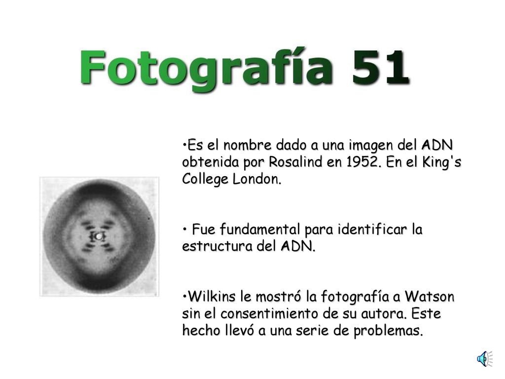 Es el nombre dado a una imagen del ADN obtenida por Rosalind en 1952
