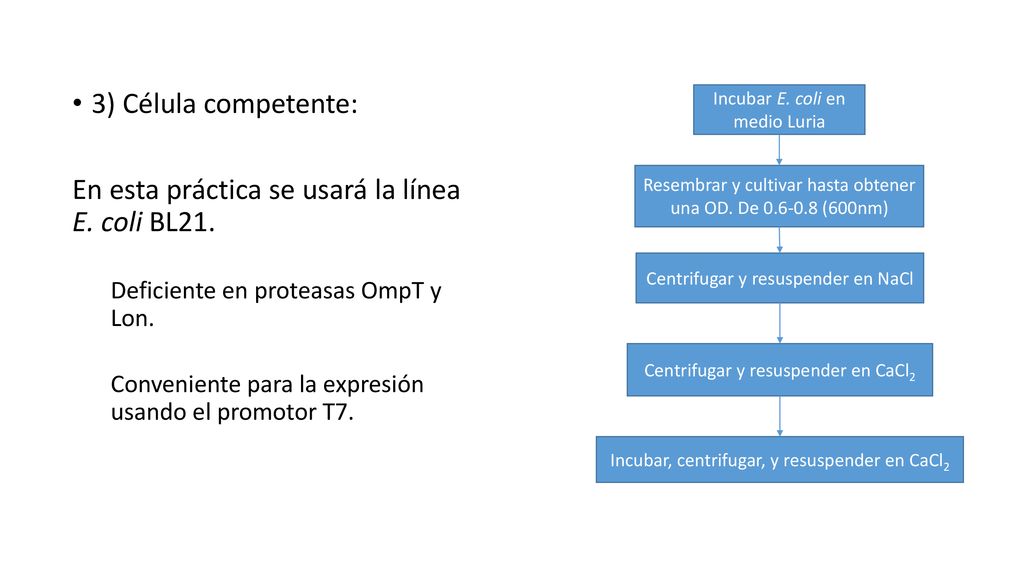 En esta práctica se usará la línea E. coli BL21.
