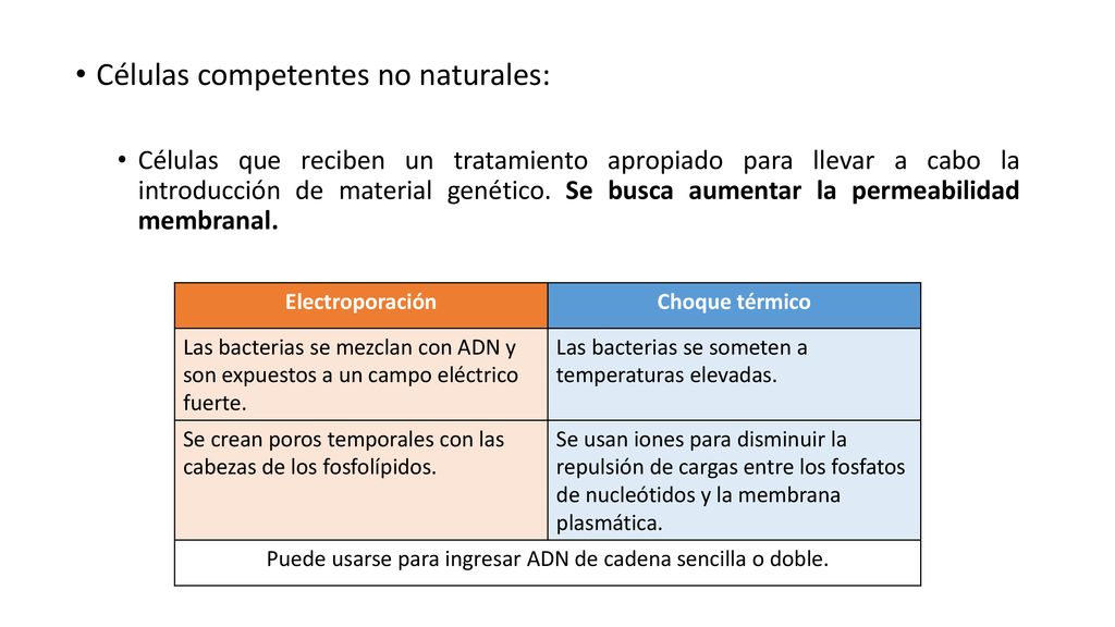 Puede usarse para ingresar ADN de cadena sencilla o doble.
