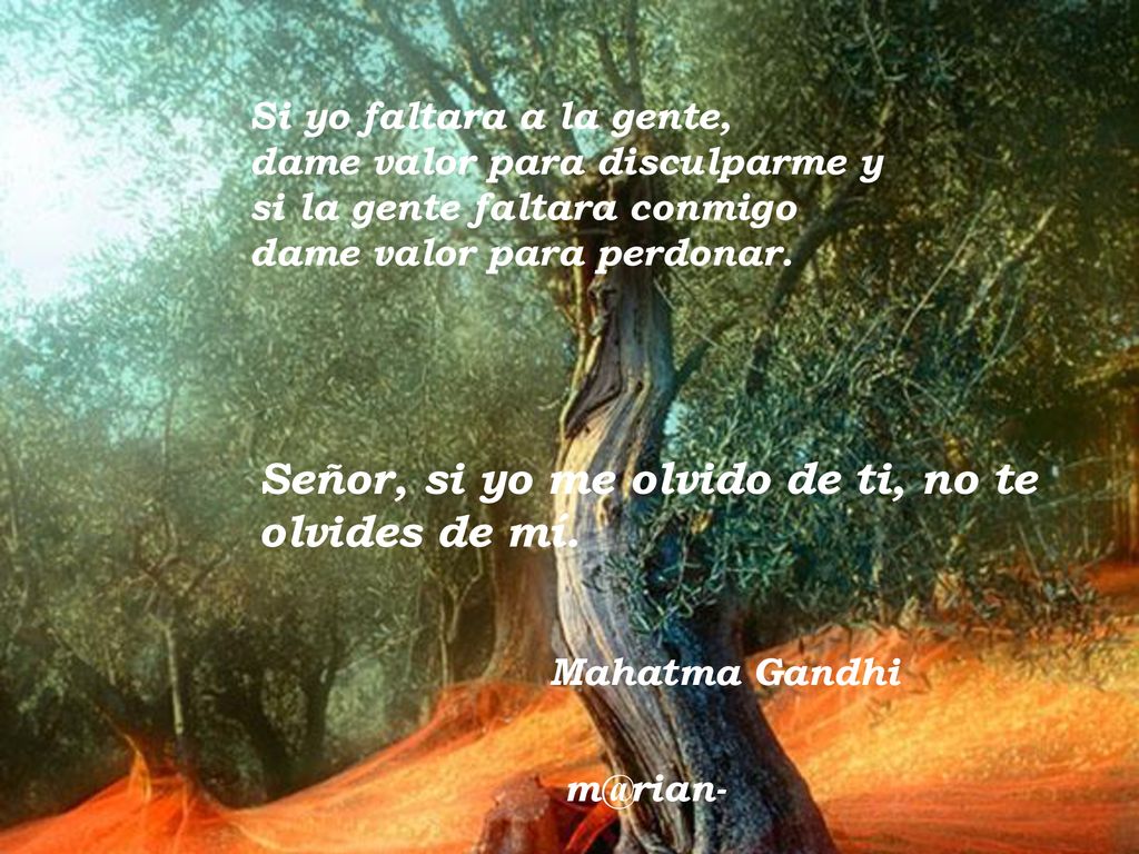 Señor, si yo me olvido de ti, no te olvides de mí.