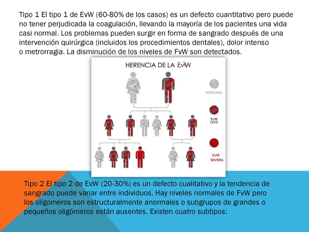Tipo 1 El tipo 1 de EvW (60-80% de los casos) es un defecto cuantitativo pero puede no tener perjudicada la coagulación, llevando la mayoría de los pacientes una vida casi normal. Los problemas pueden surgir en forma de sangrado después de una intervención quirúrgica (incluidos los procedimientos dentales), dolor intenso o metrorragia. La disminución de los niveles de FvW son detectados.