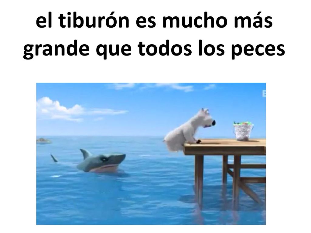 el tiburón es mucho más grande que todos los peces