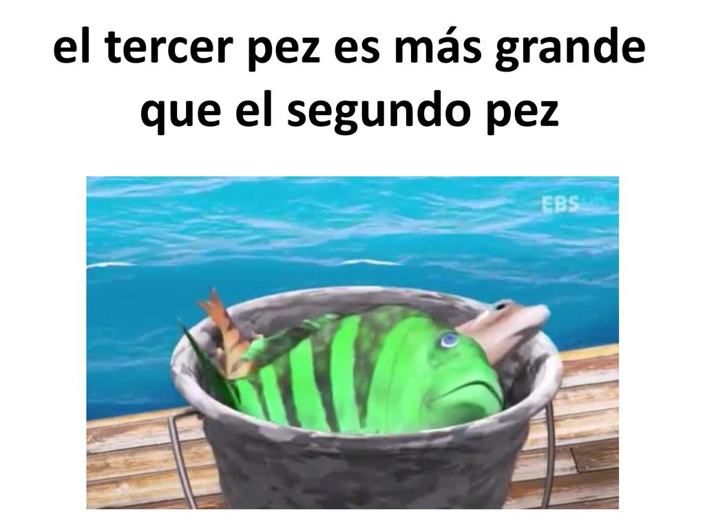 el tercer pez es más grande que el segundo pez