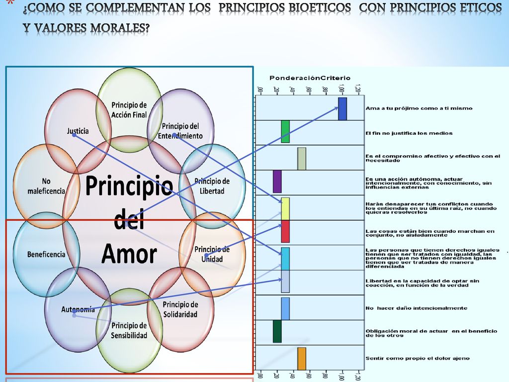 ¿COMO SE COMPLEMENTAN LOS PRINCIPIOS BIOETICOS CON PRINCIPIOS ETICOS Y VALORES MORALES