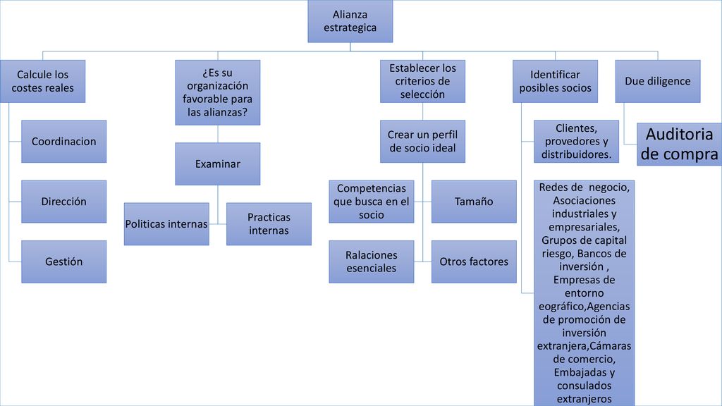 Auditoria de compra Alianza estrategica Calcule los costes reales