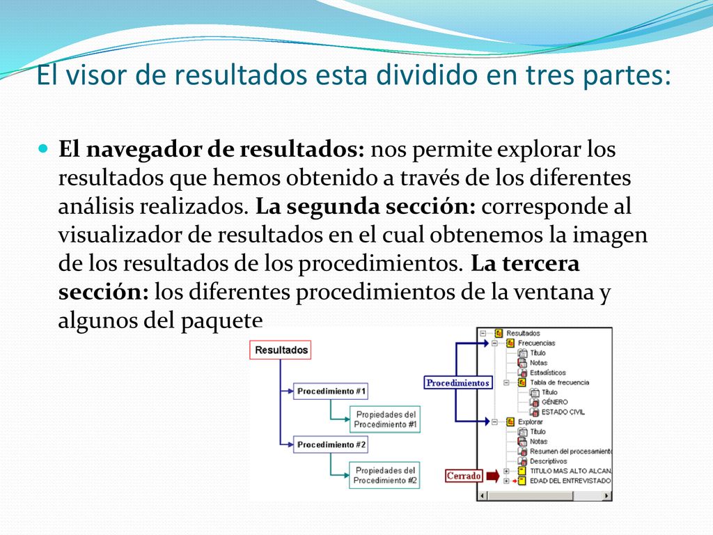 El visor de resultados esta dividido en tres partes: