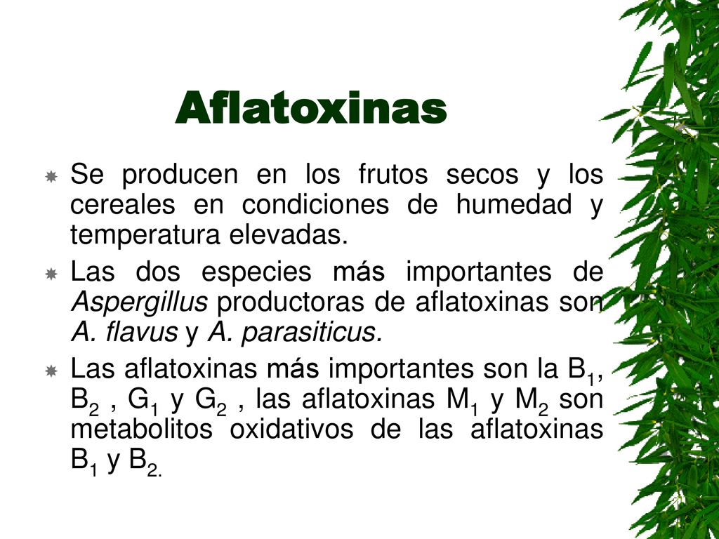 Aflatoxinas Se producen en los frutos secos y los cereales en condiciones de humedad y temperatura elevadas.