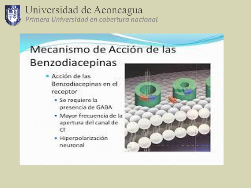 Farmacocinética se absorbe bien vía oral. La absorción es lenta después de su administración intramuscular.