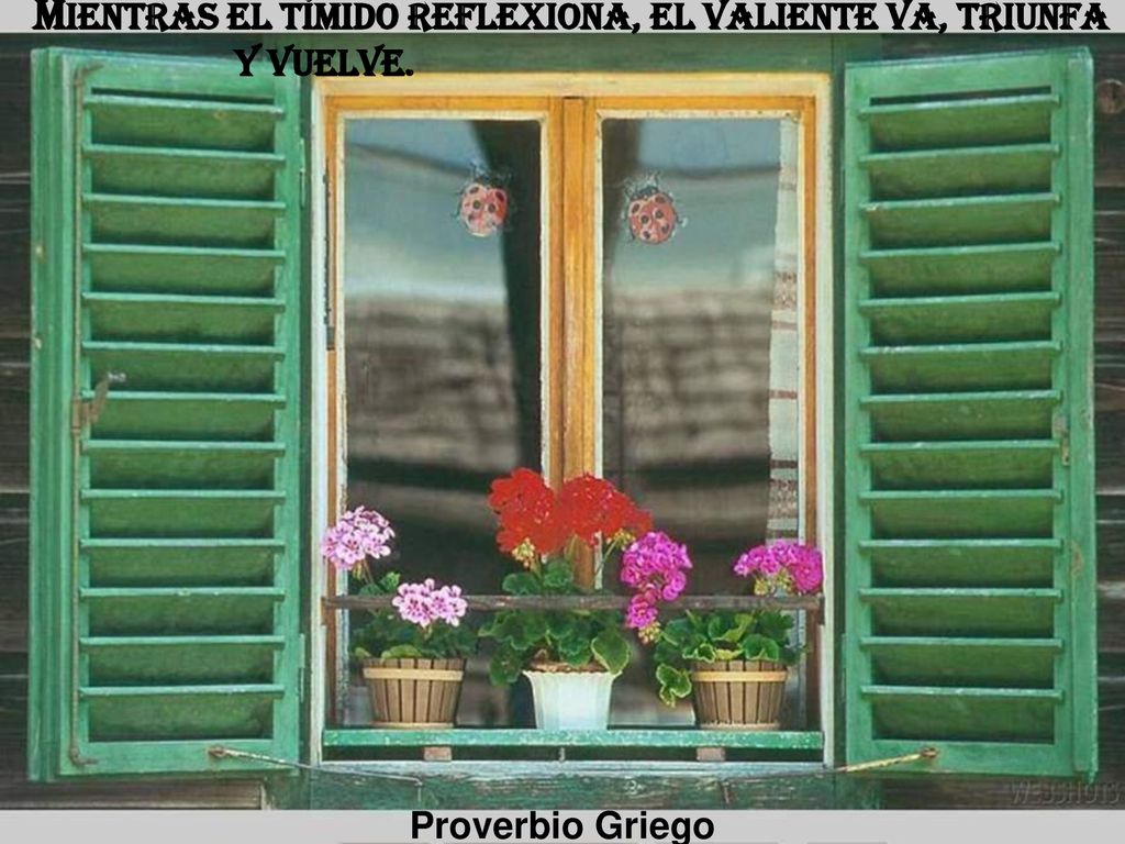 Mientras el tímido reflexiona, el valiente va, triunfa y vuelve.
