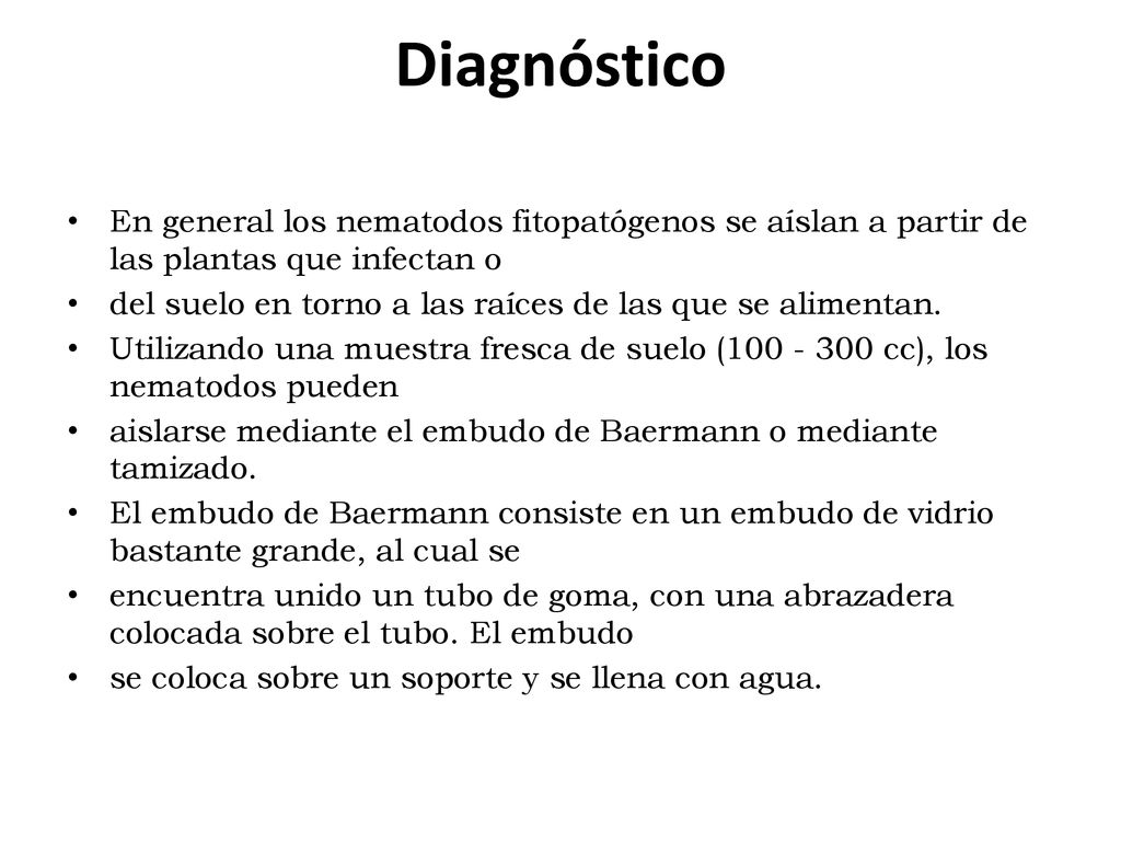 Diagnóstico En general los nematodos fitopatógenos se aíslan a partir de las plantas que infectan o.