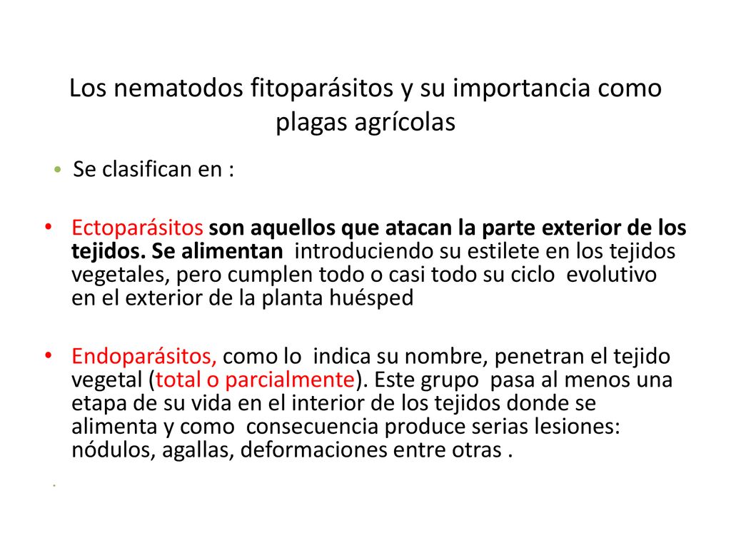 Los nematodos fitoparásitos y su importancia como plagas agrícolas