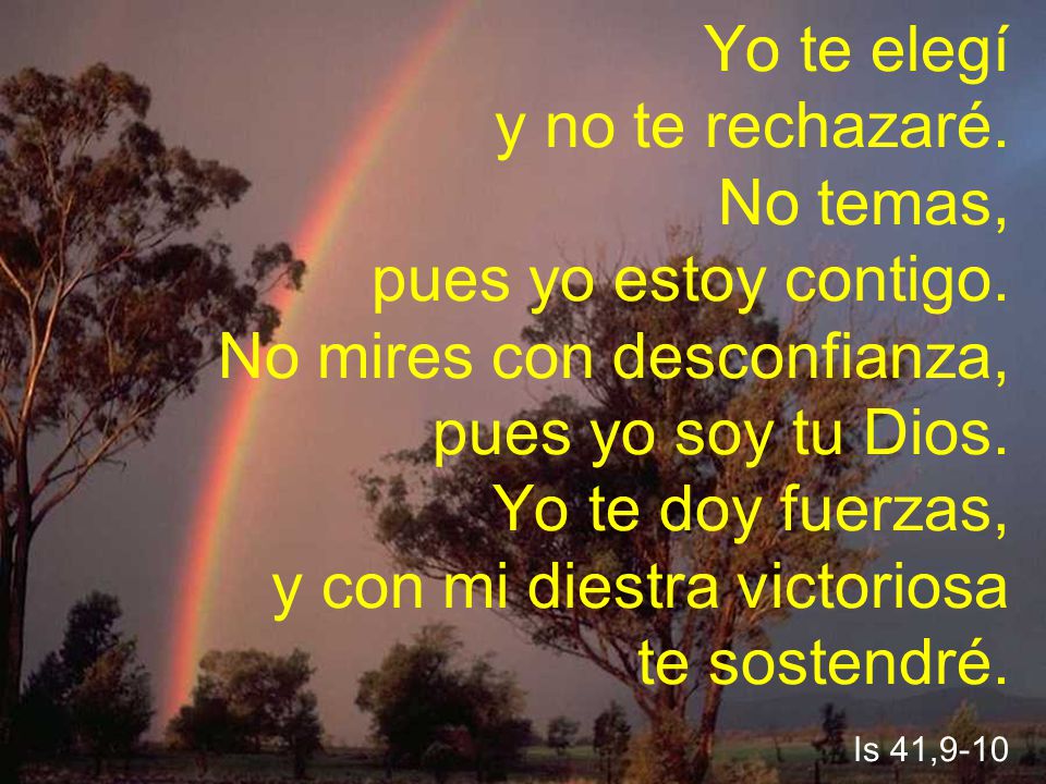 Yo te elegí y no te rechazaré. No temas, pues yo estoy contigo
