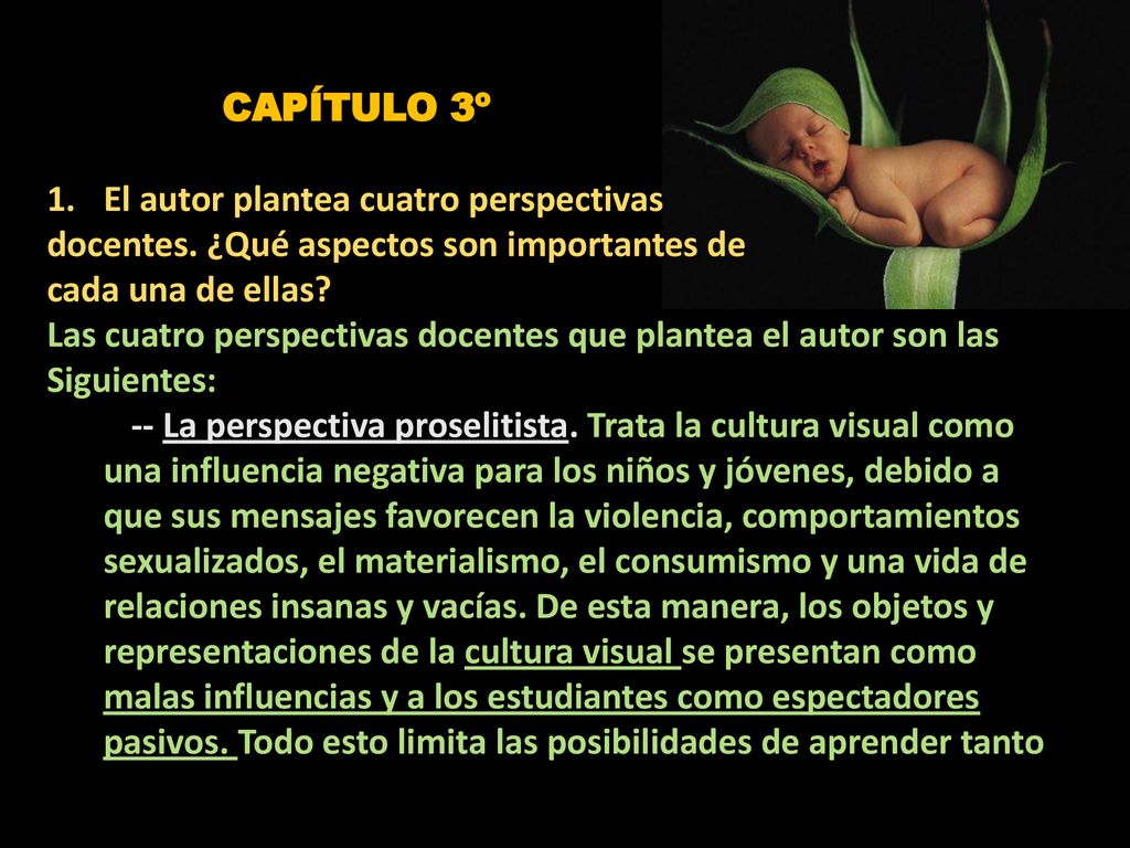 CAPÍTULO 3º El autor plantea cuatro perspectivas. docentes. ¿Qué aspectos son importantes de. cada una de ellas
