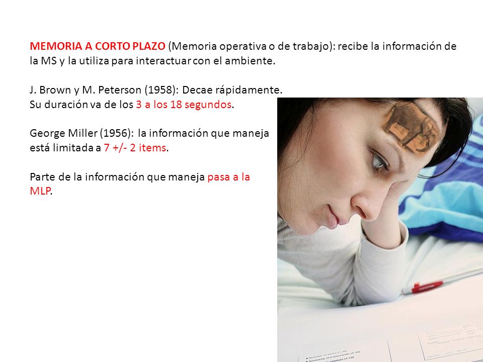 MEMORIA A CORTO PLAZO (Memoria operativa o de trabajo): recibe la información de la MS y la utiliza para interactuar con el ambiente.