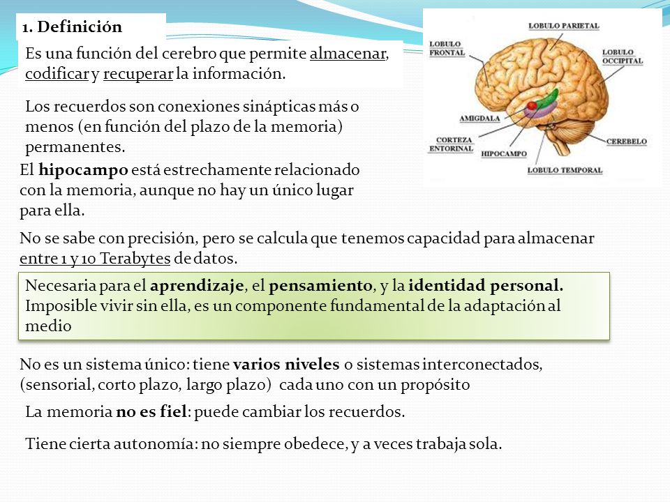 1. Definición Es una función del cerebro que permite almacenar, codificar y recuperar la información.