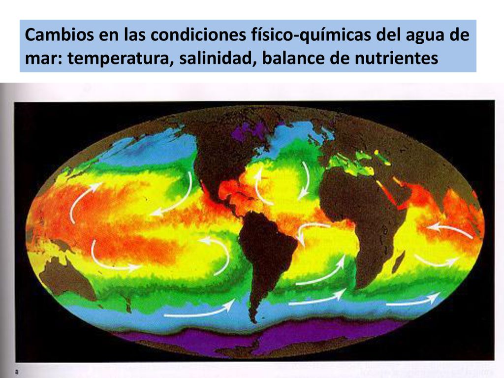 Cambios en las condiciones físico-químicas del agua de mar: temperatura, salinidad, balance de nutrientes