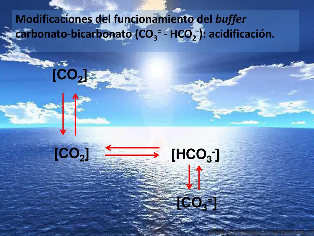 Modificaciones del funcionamiento del buffer carbonato-bicarbonato (CO3= - HCO2-): acidificación.