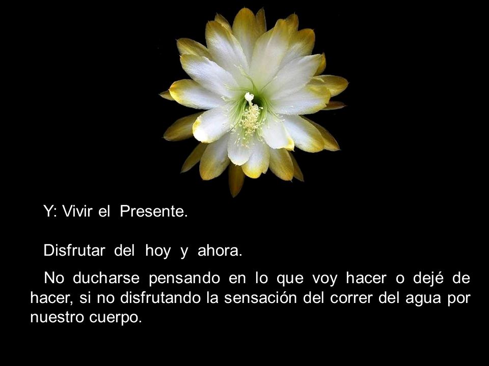 Y: Vivir el Presente. Disfrutar del hoy y ahora.
