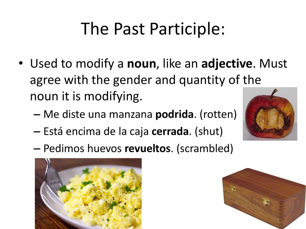 The Past Participle: Used to modify a noun, like an adjective. Must agree with the gender and quantity of the noun it is modifying.