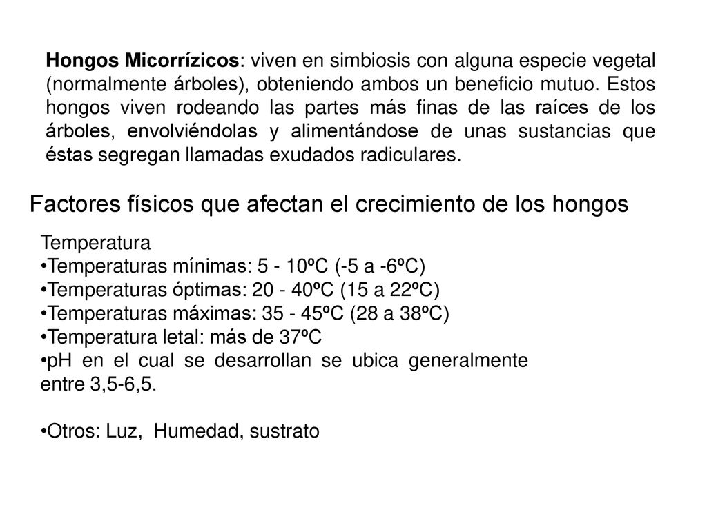 Factores físicos que afectan el crecimiento de los hongos